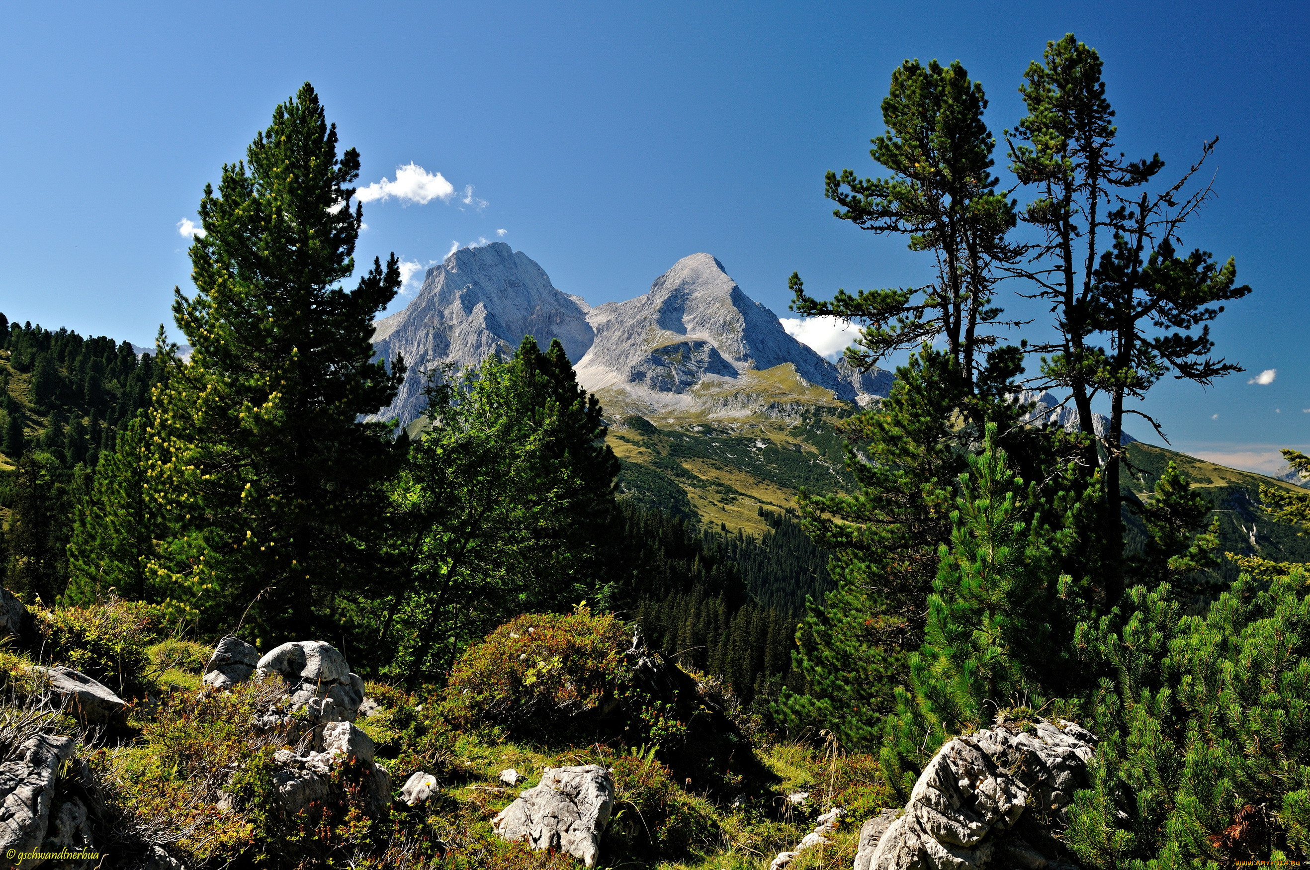 , , , , schachen